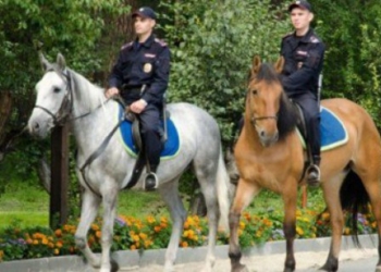 В Киеве появится конная полиция