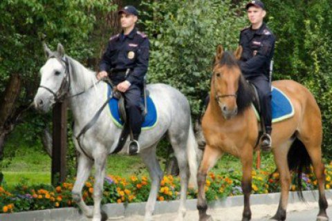 В Киеве появится конная полиция 1