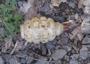 Нашел на улице недалеко от парка, – в Ужгороде мужчина продал боевую гранату за 1300 грн.