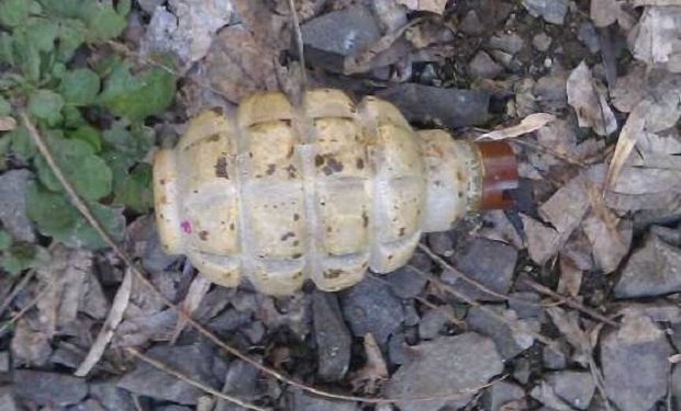 Нашел на улице недалеко от парка, – в Ужгороде мужчина продал боевую гранату за 1300 грн.