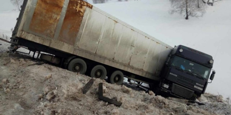 В РФ машина с цирковыми тиграми перевернулась в ДТП. Сопровождающие сбежали