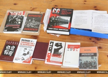 Задержанные в Беларуси украинские боевики – кто они?