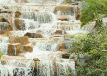 В Гане у водопада на туристов упало дерево. Погибло 20 человек