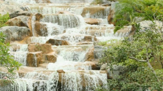 В Гане у водопада на туристов упало дерево. Погибло 20 человек
