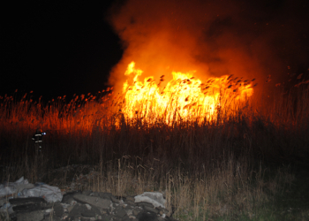 В Николаеве полыхал камыш – на 3 га. Чуть не сгорел склад