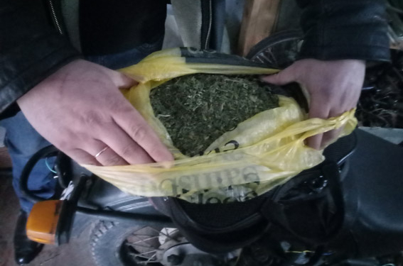 В Снигиревке 42-летнему мужчине грозит 5 лет тюрьмы за хранение почти килограмма конопли