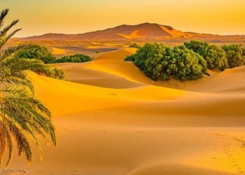 Учёные обвинили древних людей в появлении пустыни Сахара