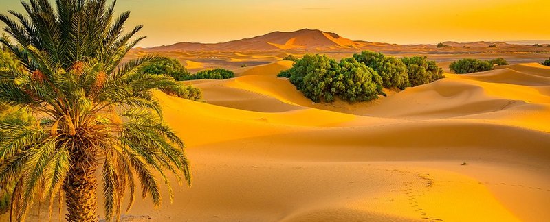 Учёные обвинили древних людей в появлении пустыни Сахара 1