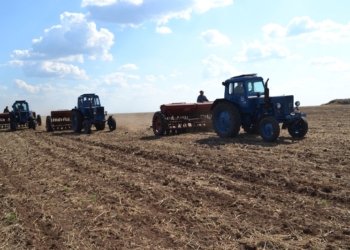 Аграрии не успеют получить средства из Госбюджета до начала посевной, – глава комитета ТПП