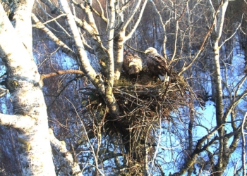 С сегодняшнего дня в заповедник – только пешком. Вступили в силу новые правила. И штрафы