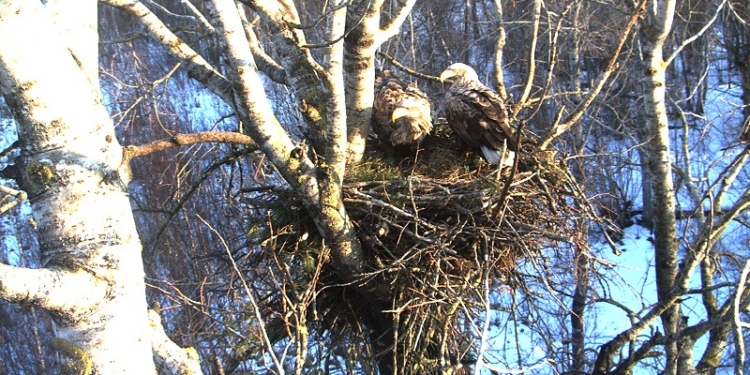 С сегодняшнего дня в заповедник – только пешком. Вступили в силу новые правила. И штрафы