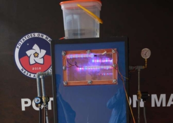 Растет! Ученые вырастили картофель в марсианских условиях