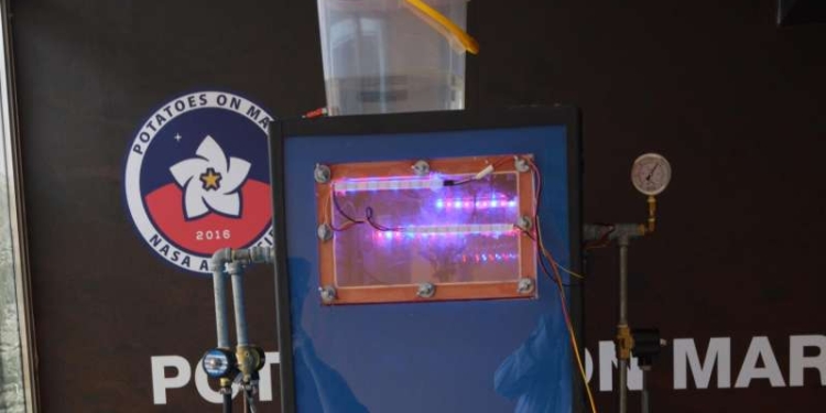 Растет! Ученые вырастили картофель в марсианских условиях