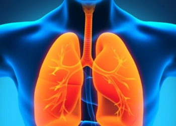 Ученые открыли еще одну уникальную функцию легких – производство тромбоцитов