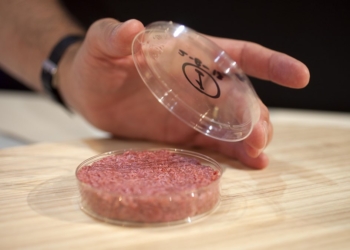 Скоро в продаже? Синтетическое мясо стремительно дешевеет