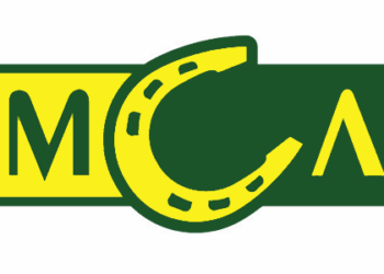 МСЛ требует от николаевского губернатора извинений и грозит судом