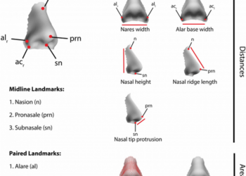 Из-за климата может меняться форма человеческого носа