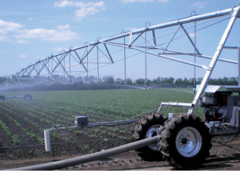 Украина хочет использовать воды Дуная для орошения полей на юге страны