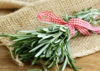 Ученые нашли специю, которая улучшает память