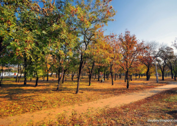 В Департаменте ЖКХ рассказали, почему не был завершён капремонт сквера «Солдата» в Варваровке