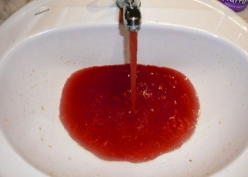 Саранча и жабы на очереди? В канадском городе из кранов пошла  “кровавая” вода