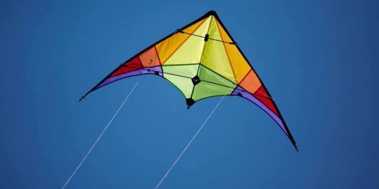 На Николаевщине в мае пройдет Международный фестиваль воздушных змеев