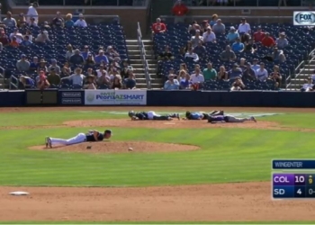 «Ложись!»: рой пчел атаковал бейсболистов во время матча