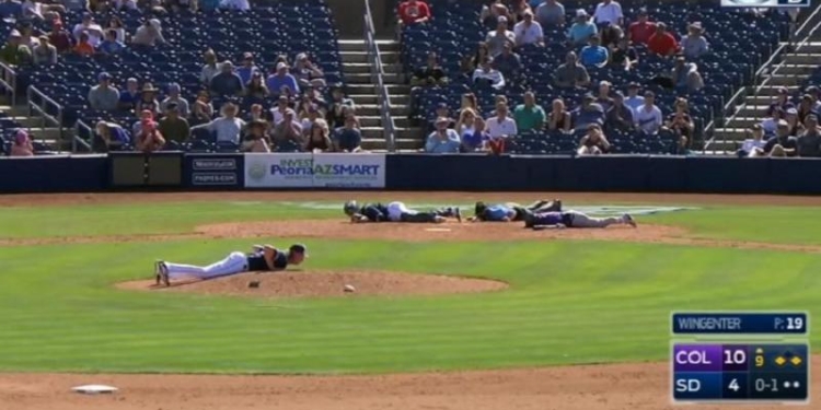 «Ложись!»: рой пчел атаковал бейсболистов во время матча