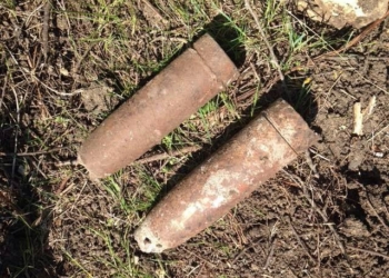 В Николаевском районе нашли 2 артснаряда