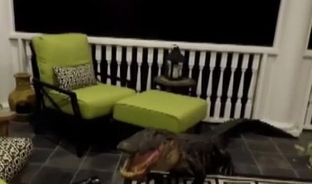 Не знаешь, что лучше: семья в Южной Каролине думала, что в дом ворвался грабитель, а это оказался почти 3-метровый голодный аллигатор