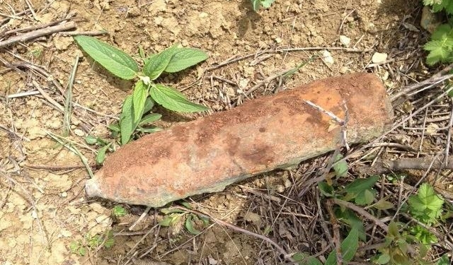 На дачах поблизости от Николаева нашли артснаряд