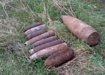 В Зеленом Гае на Николаевщине обнаружили 9 боеприпасов