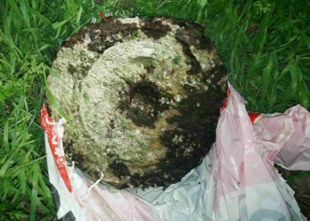 Старая, но все еще опасная: у Варваровского моста в Николаеве нашли мину