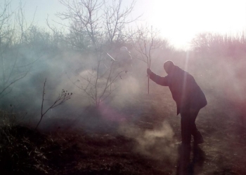 На Николаевщине женщина сжигала мусор и «подожгла» хозяйственную постройку. Хорошо, что жилой дом уберегли