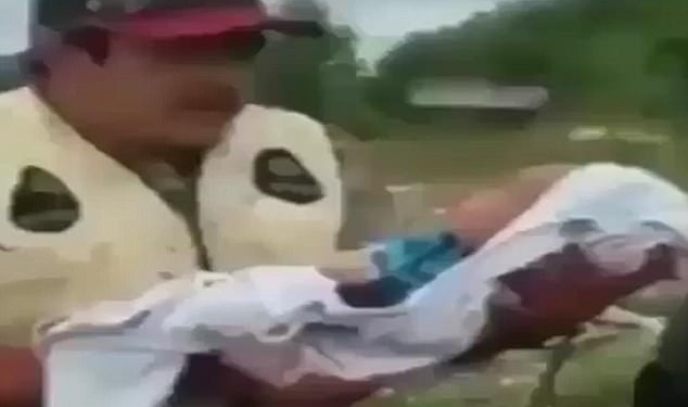 Странные традиции: в Америке новорожденного ребенка помещают в тушу мертвого животного – чтобы был защищен и был хорошим охотником