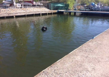 В Николаеве началось восстановление единственного в городе открытого плавбассейна