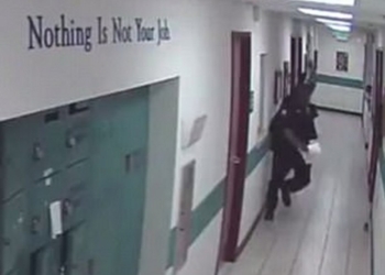 Даже крупные американские полицейские крыс боятся: «трепетная» встреча человека и грызуна