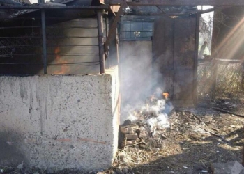 В Кривом Озере горели и сено, и камыш