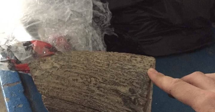 Болгарин пытался вывезти из Украины 2,5-килограммовый фрагмент бивня мамонта