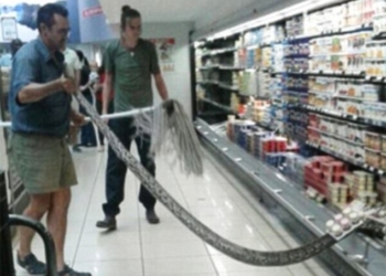 Мы, придя в магазин за йогуртом, можем купить просроченный. В Южной Африке иначе – мужчина пришел за йогуртом, а обнаружил 3,6-метрового питона