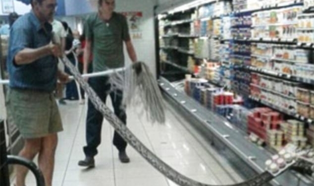 Мы, придя в магазин за йогуртом, можем купить просроченный. В Южной Африке иначе – мужчина пришел за йогуртом, а обнаружил 3,6-метрового питона