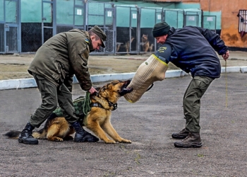 В Николаеве кинологи Нацгвардии совершенствовались сами и совершенствовали своих четвероногих помощников
