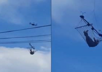 Мимино, хорошо летим! В Грузии гамак привязали к дрону