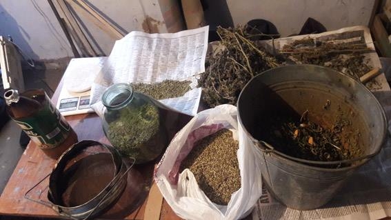 В Николаевской области задержали “наркофермеров” – они выращивали и продавали марихуану