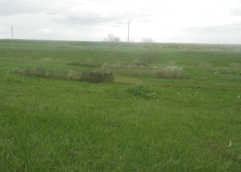 Пограничники обнаружили браконьерские сети на берегу морского залива