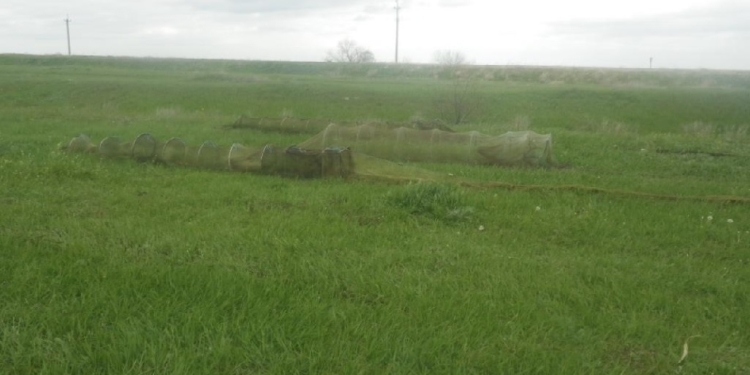 Пограничники обнаружили браконьерские сети на берегу морского залива