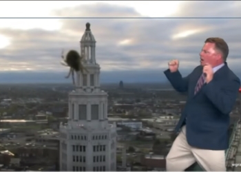 За кулисами ТВ. Ведущего в прямом эфире спугнул огромный паук