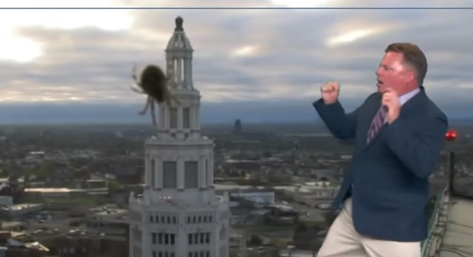 За кулисами ТВ. Ведущего в прямом эфире спугнул огромный паук