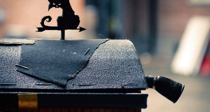 Тир, колесо обозрения и фургон с попкорном: следом за магазинами для грызунов в Швеции появился парк развлечений для них же