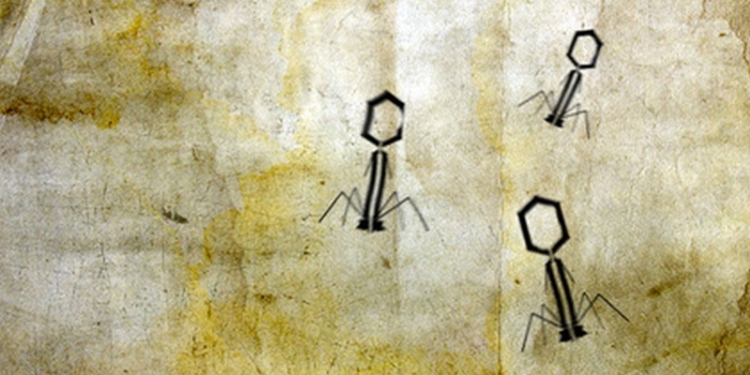 В ДНК человека нашли следы древнего вируса